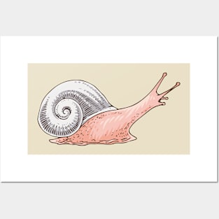 Snail Posters and Art